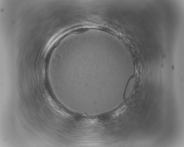 X0000056030247200508191359