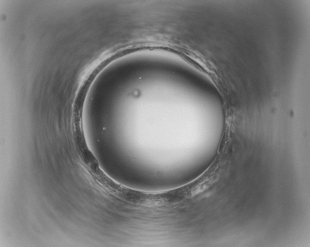 X0000056030248200508191359