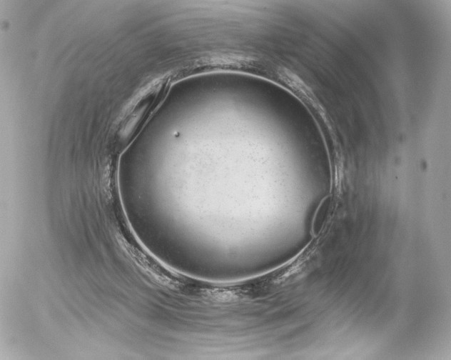 X0000056030249200508191359