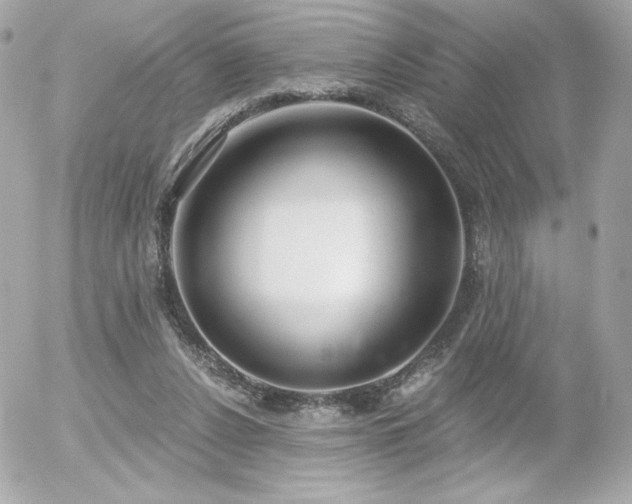 X0000056030256200508191359