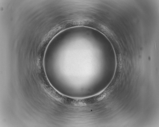 X0000056030258200508191359