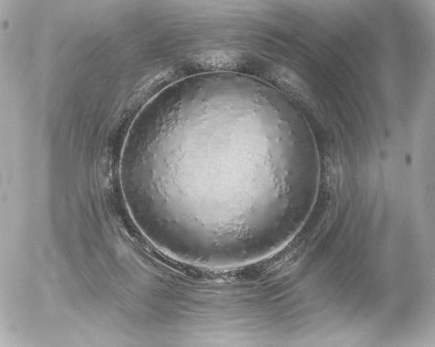 X0000056030259200508191359