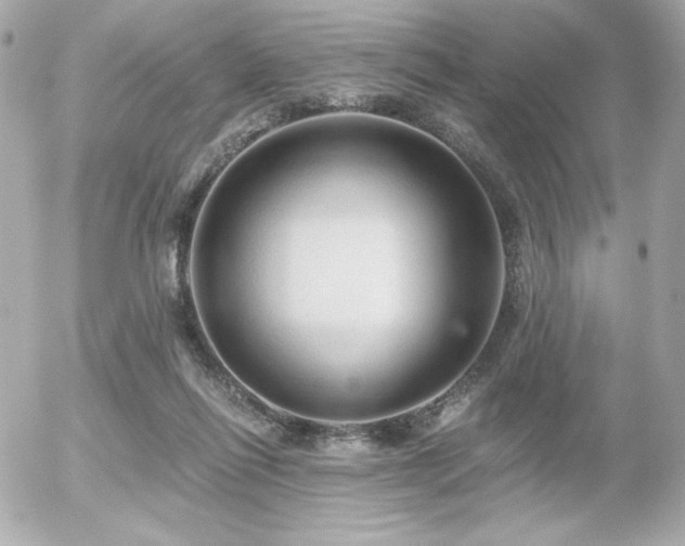 X0000056030262200508191359