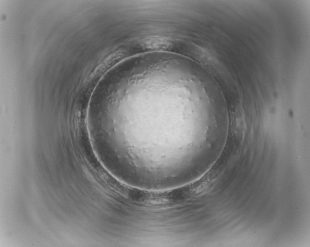 X0000056030263200508191359