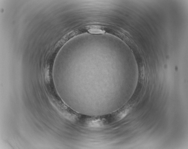 X0000056030267200508191400