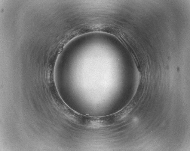 X0000056030268200508191400