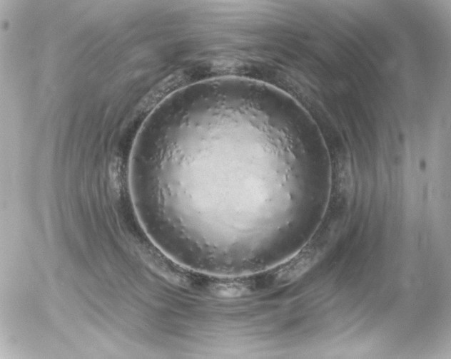 X0000056030275200508191400
