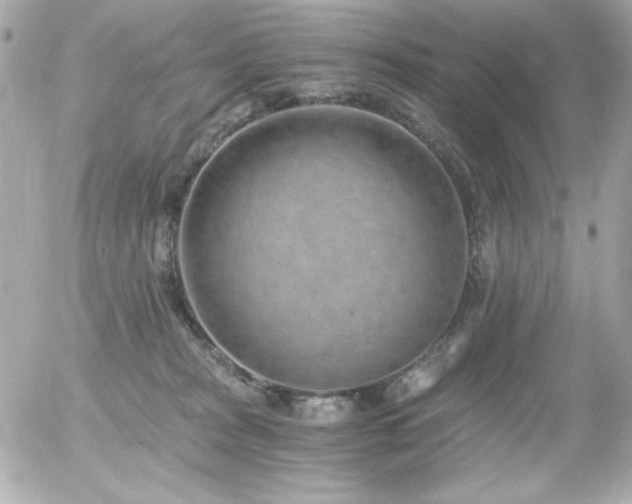 X0000056030277200508191400