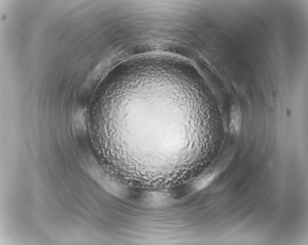 X0000056030286200508191400