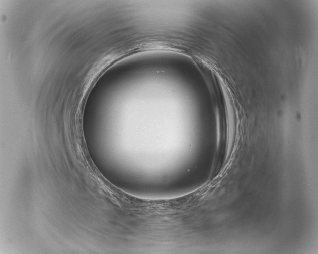 X0000056030289200508191359