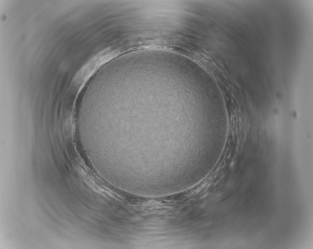 X0000056030290200508191359