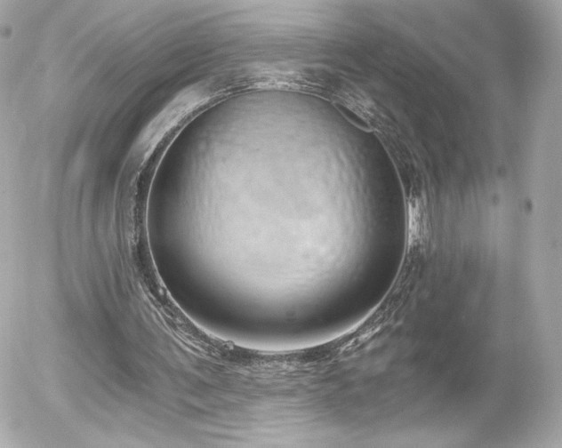 X0000056030291200508191359