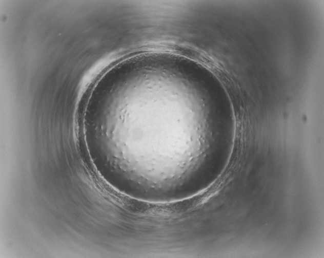 X0000056030294200508191359