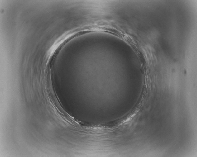 X0000056030295200508191359