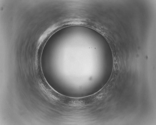 X0000056030296200508191359