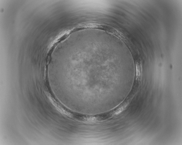 X0000056030301200508191359