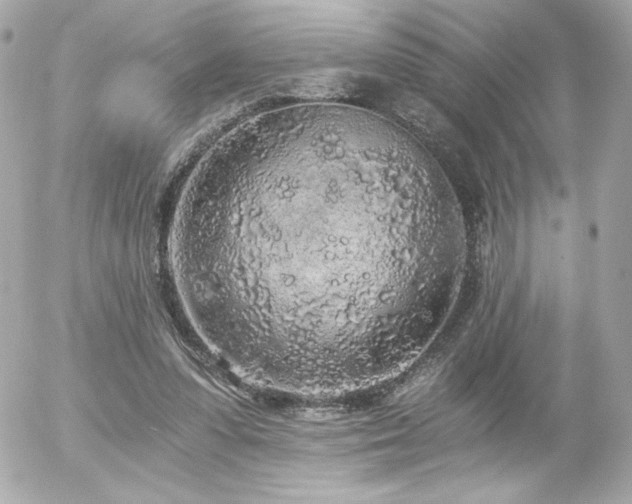 X0000056030303200508191359