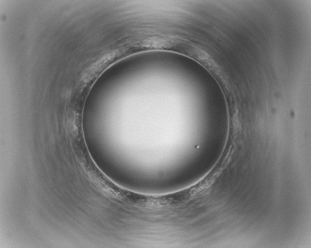 X0000056030305200508191359