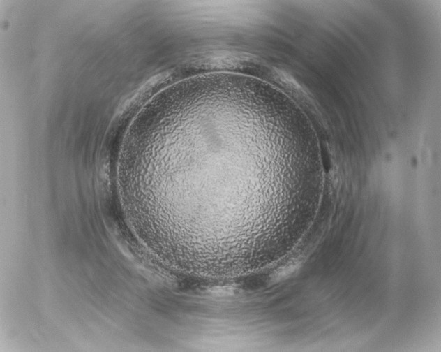 X0000056030306200508191359