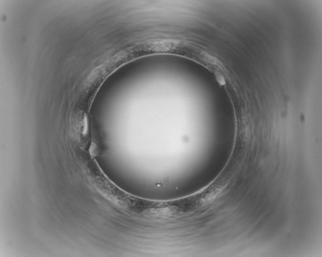 X0000056030307200508191359