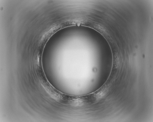 X0000056030310200508191359