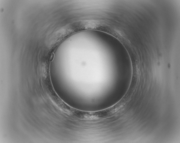 X0000056030311200508191359