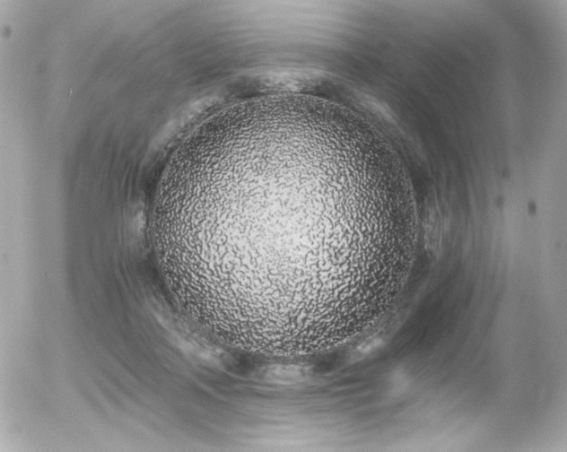 X0000056030314200508191359