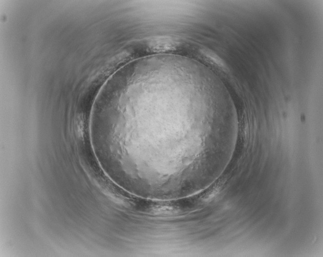 X0000056030315200508191359