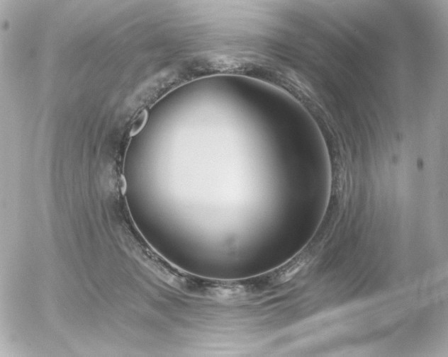 X0000056030317200508191359