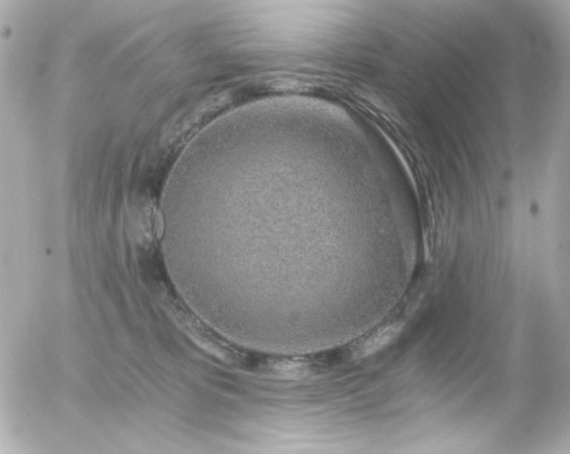 X0000056030325200508191358