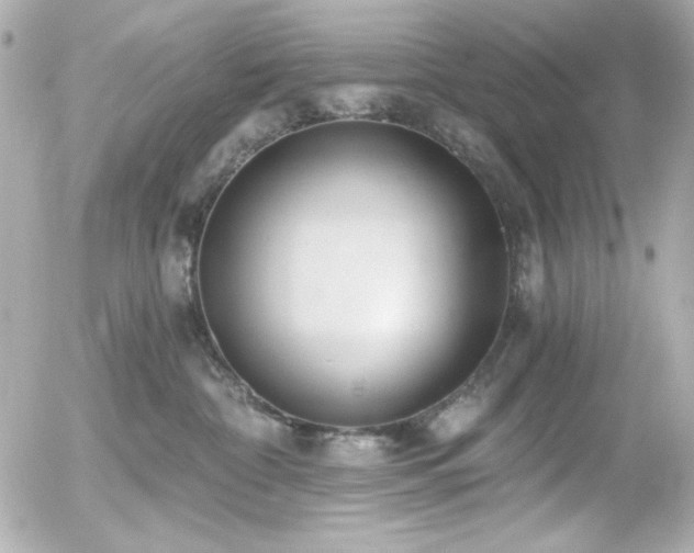 X0000056030332200508191358