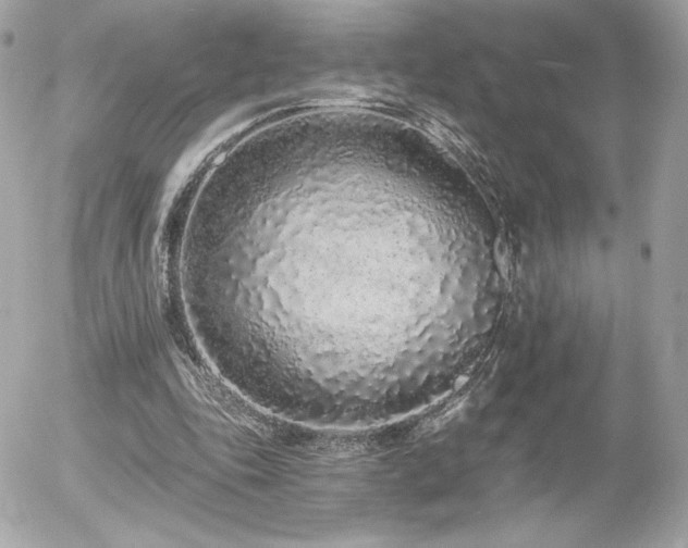 X0000056030343200508191358