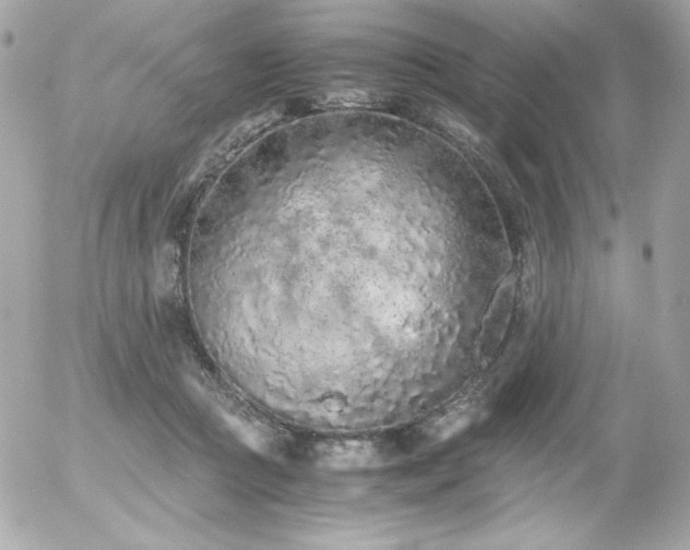 X0000056030361200508191358
