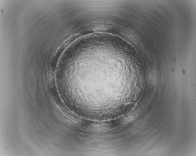 X0000056030367200508191358