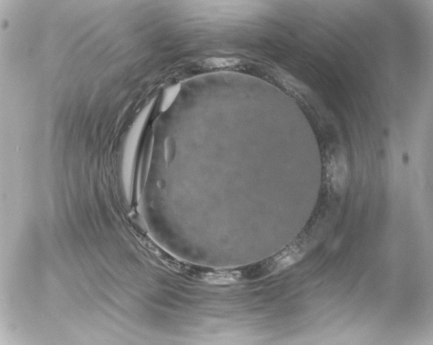 X0000056030373200508191358