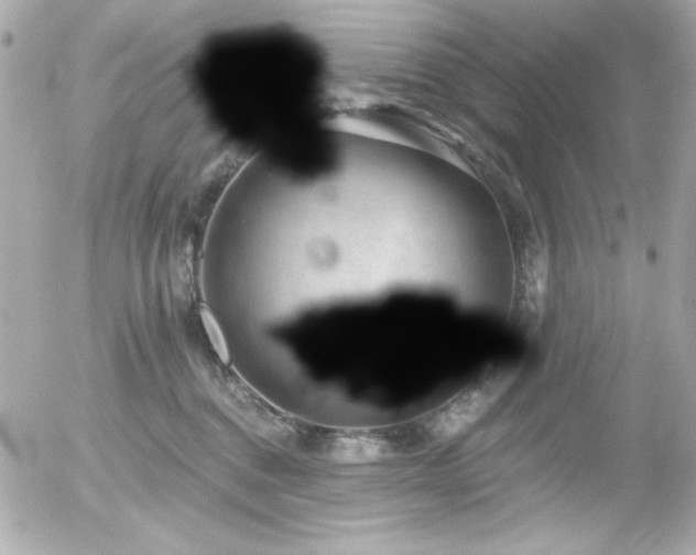 X0000056030376200508191358