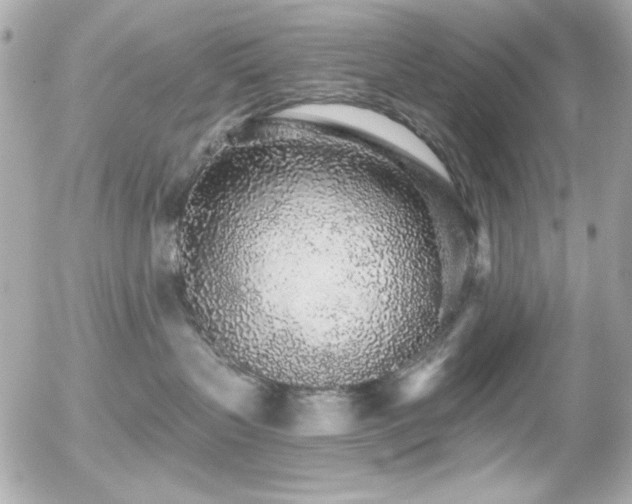 X0000056030383200508191358