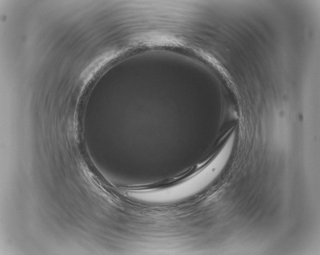 X0000056030391200508191357