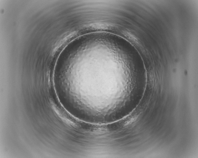 X0000056030398200508191357