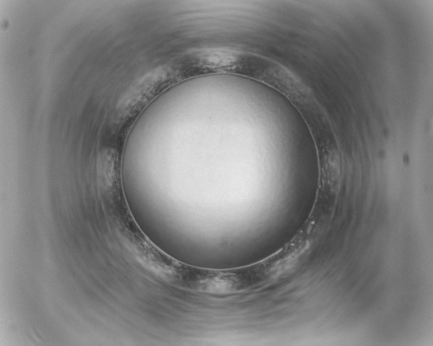 X0000056030412200508191357