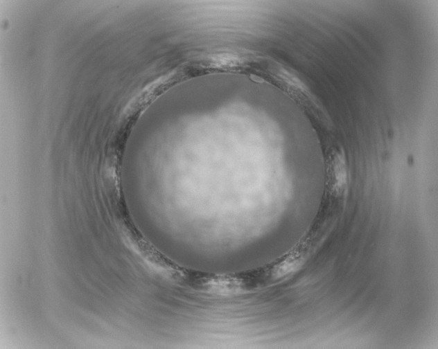 X0000056030415200508191357