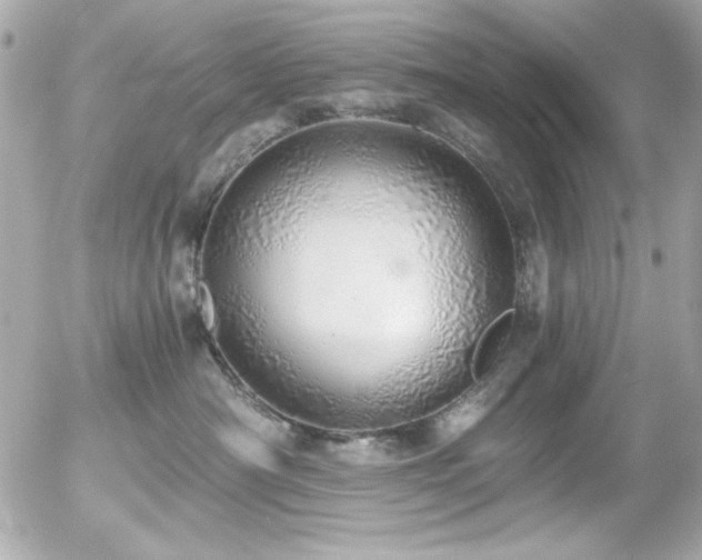 X0000056030430200508191357