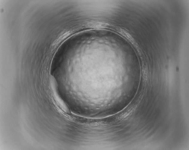 X0000056030433200508191356