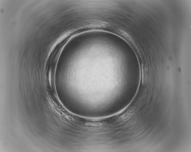 X0000056030435200508191356