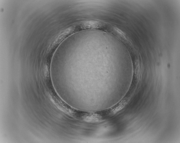 X0000056030459200508191356