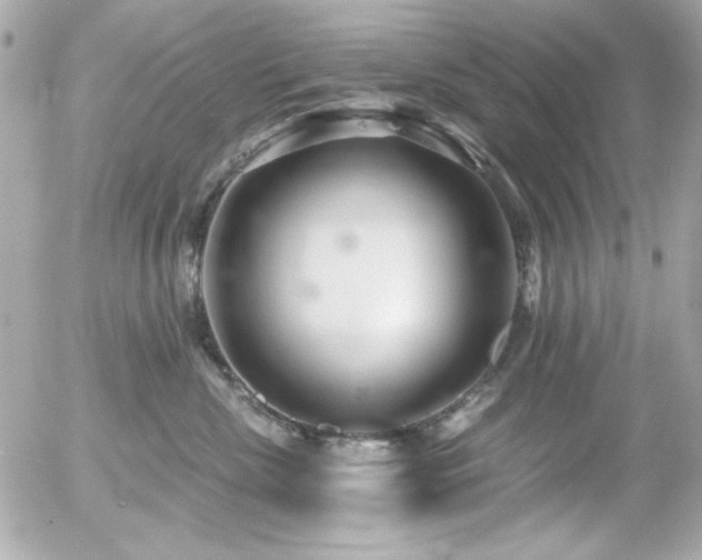 X0000056030476200508191357