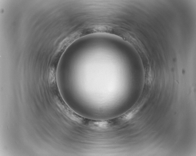 X0000056030478200508191357