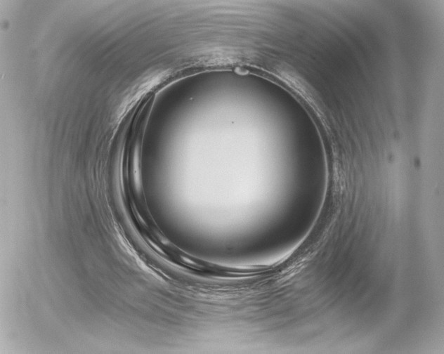 X0000056030485200508191356