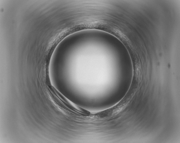X0000056030493200508191356