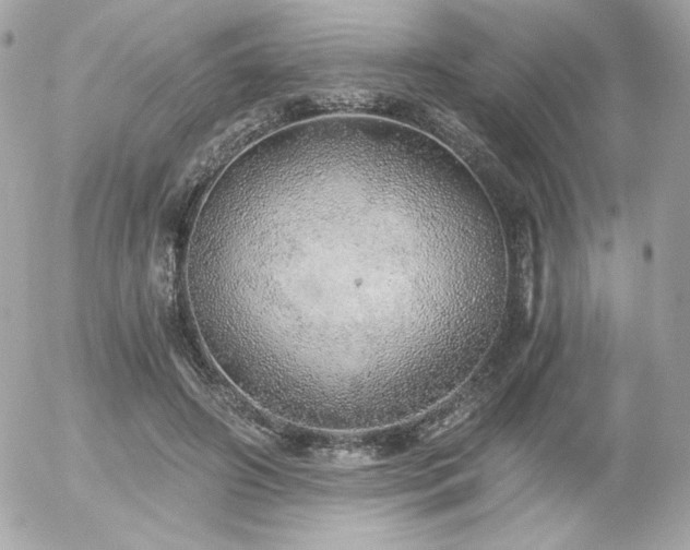 X0000056030498200508191356